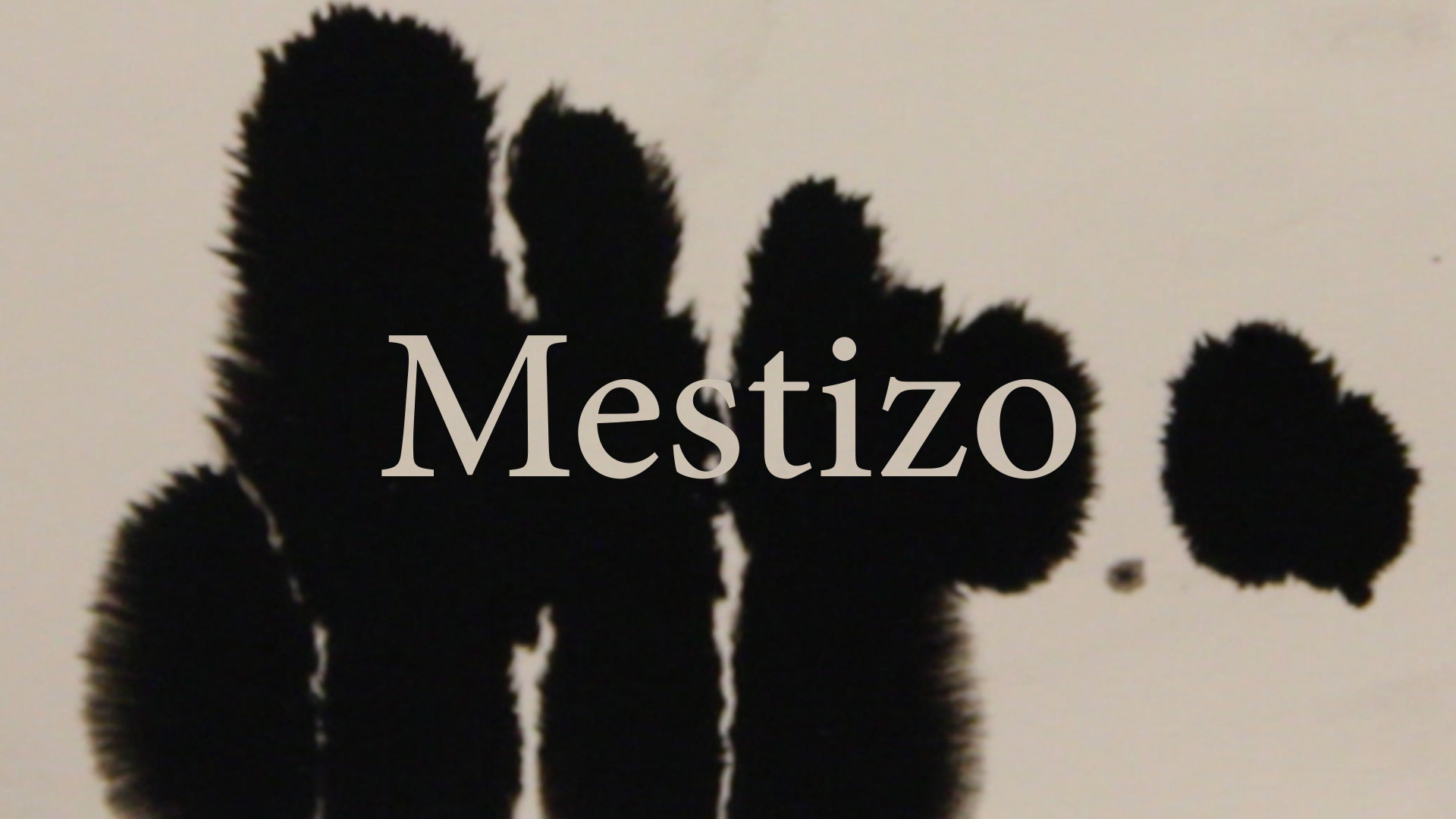 Mestizo_Still_1.jpg