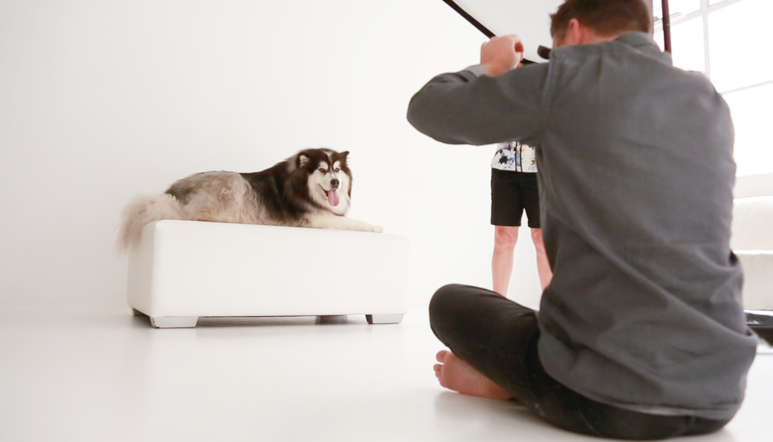 FUR BABY - Portrait Experience