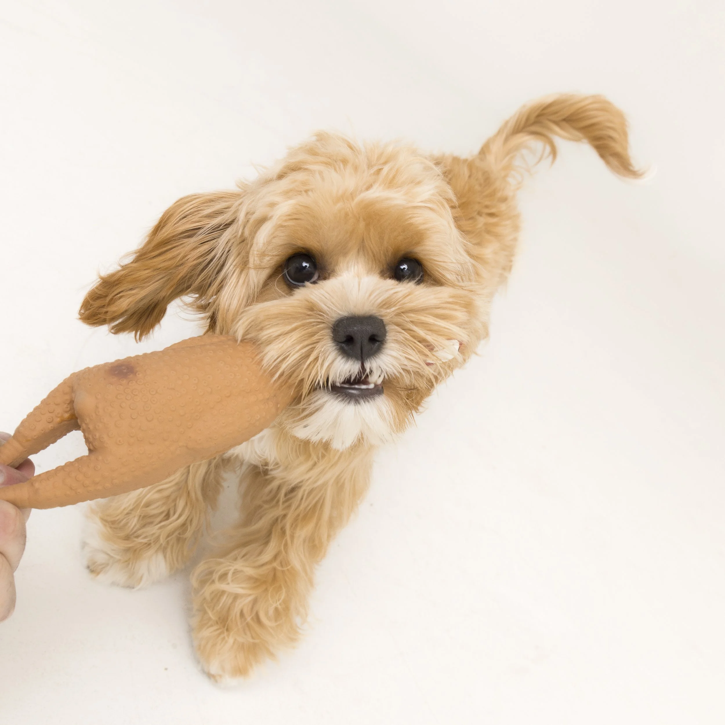 12x12_frame_Tan_Mia and Rosie_012.jpg