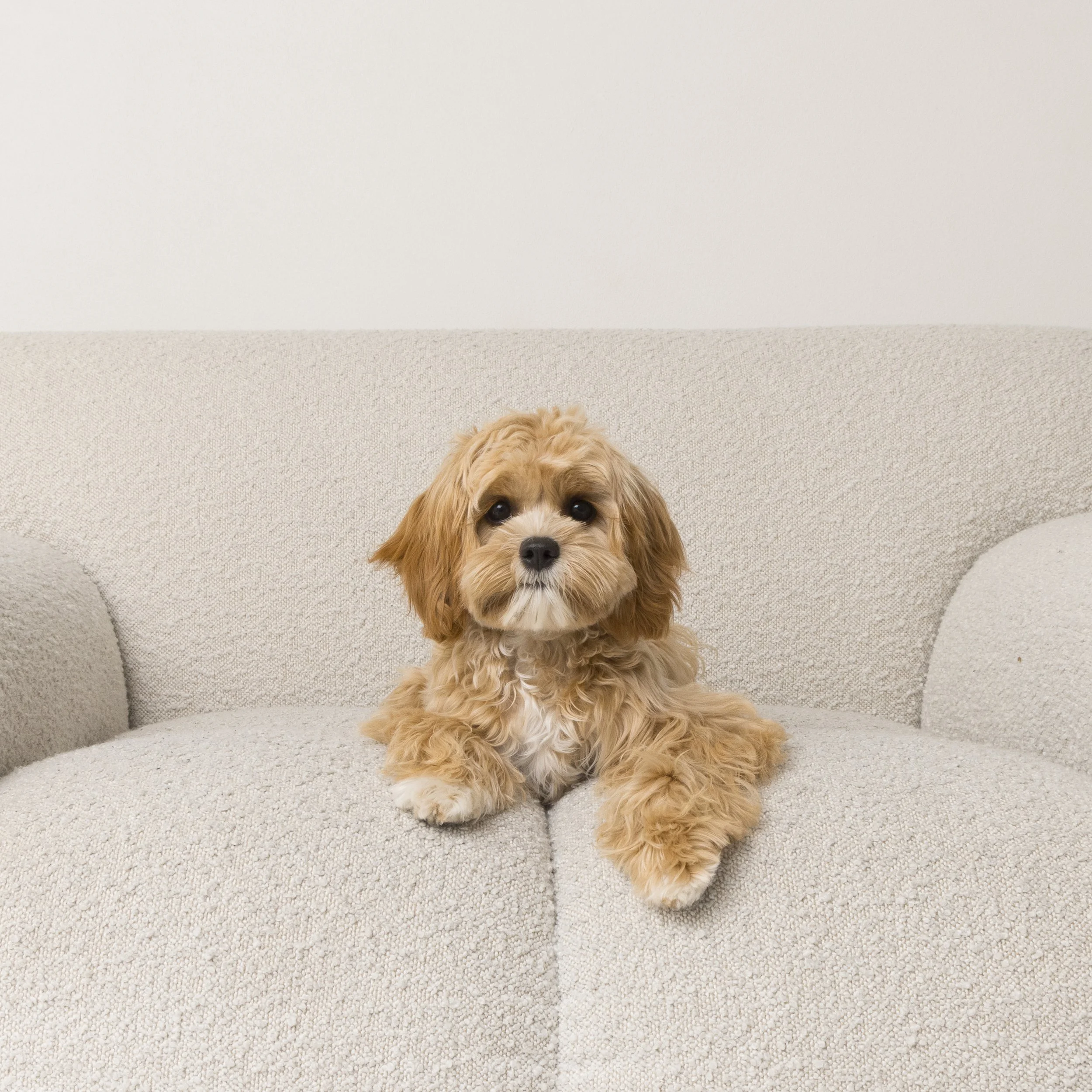 12x12_frame_Tan_Mia and Rosie_033.jpg