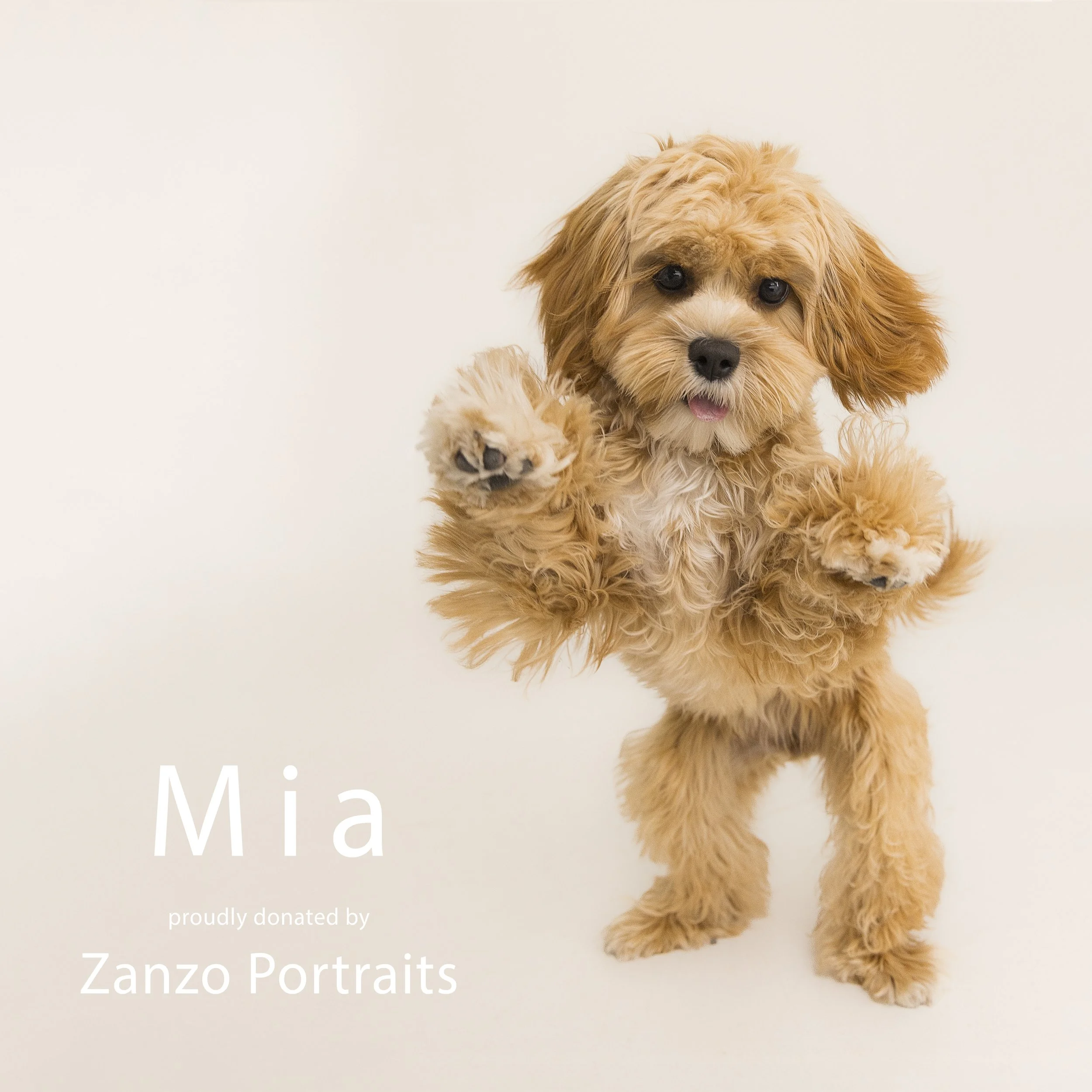 24x24_SLO_Tan_Mia and Rosie_024.jpg