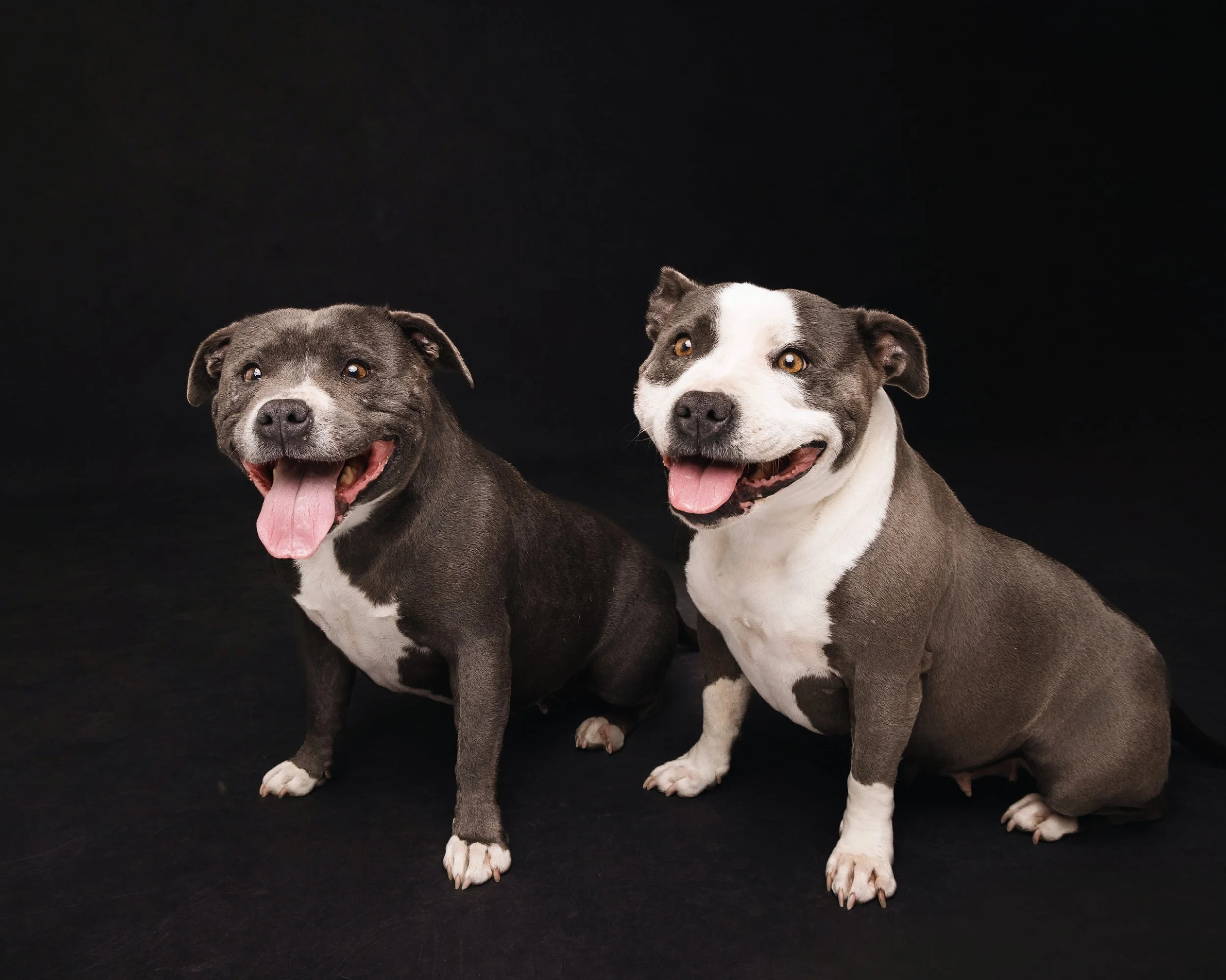 Leitch_Rebel & Frankie_092.jpg