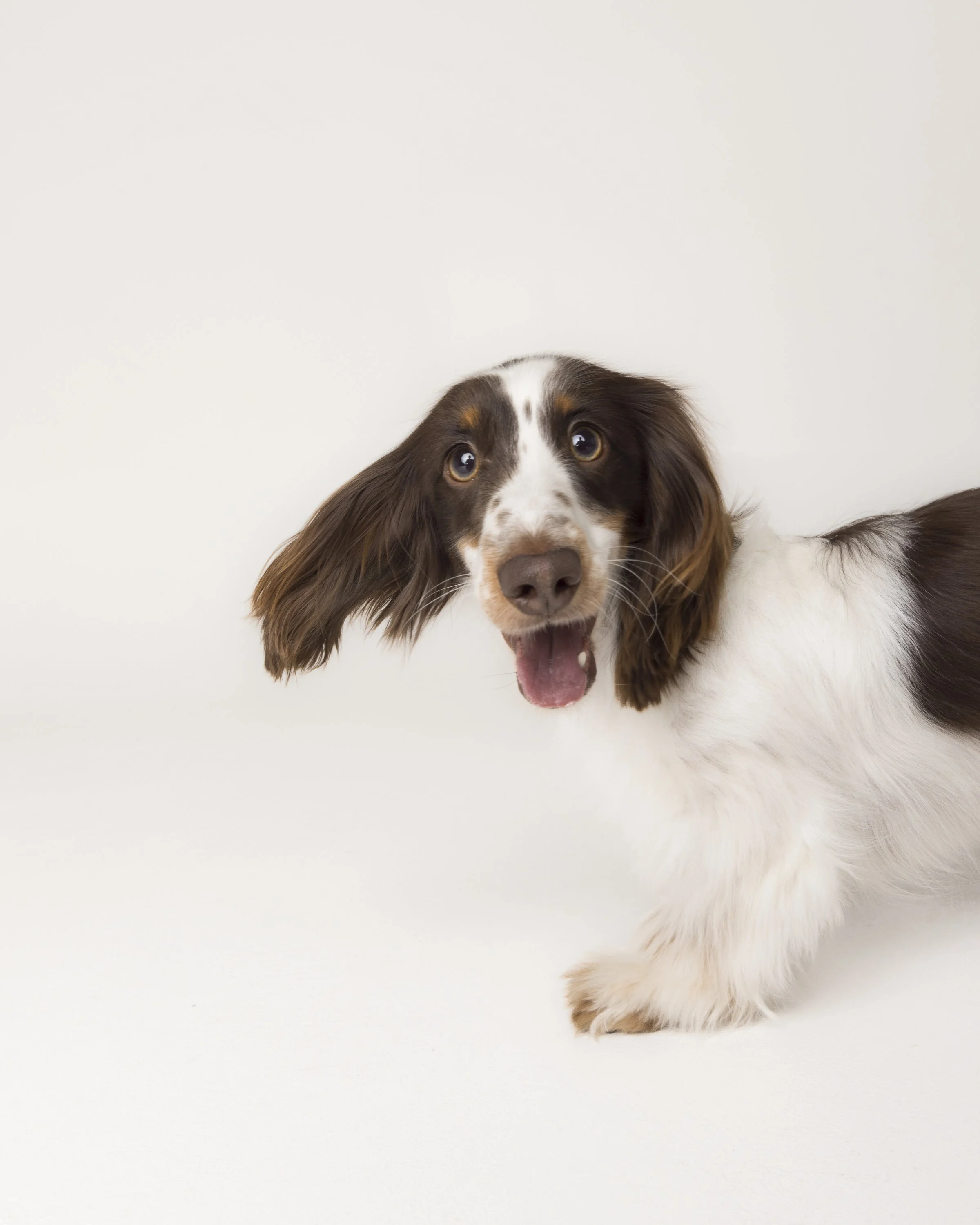 Griffiths_Alfie_012.jpg