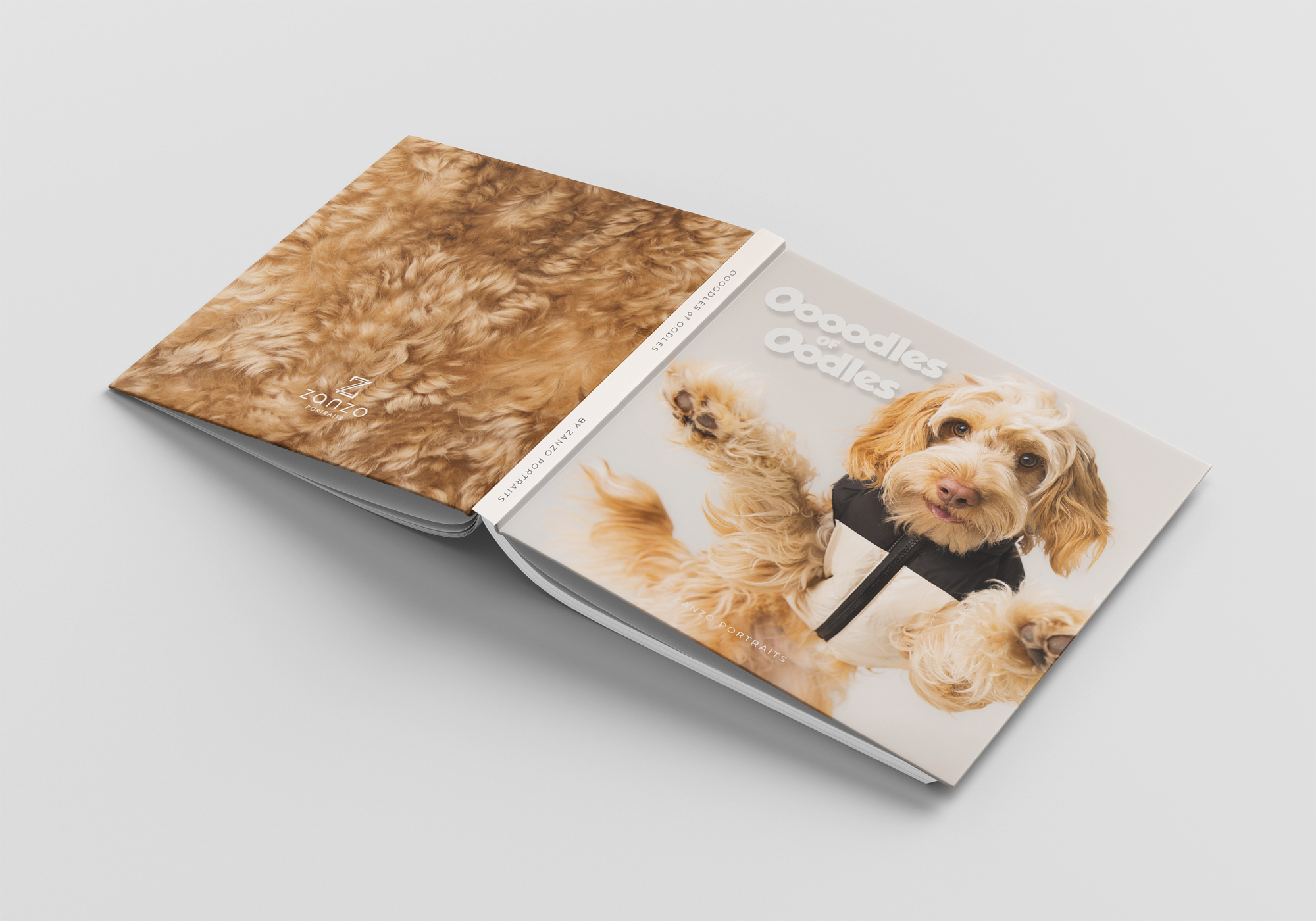 Oodlesbook_covers.png