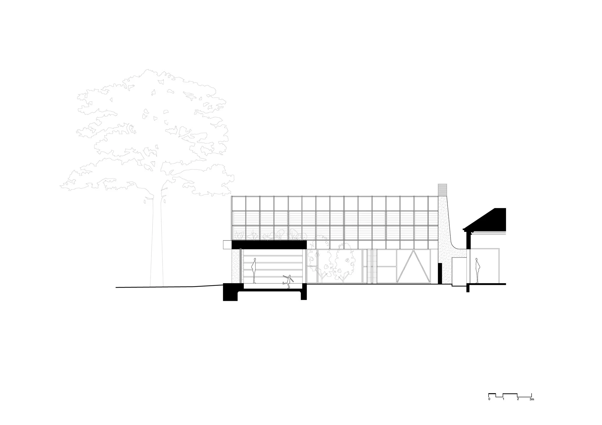 Oak-Tree-House-1305_section-elevation-01.jpg
