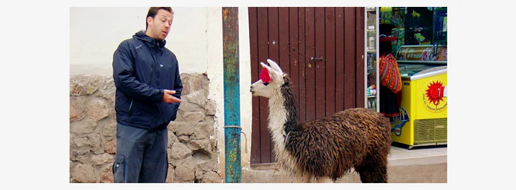 talking-to-a-llama-sml.jpg
