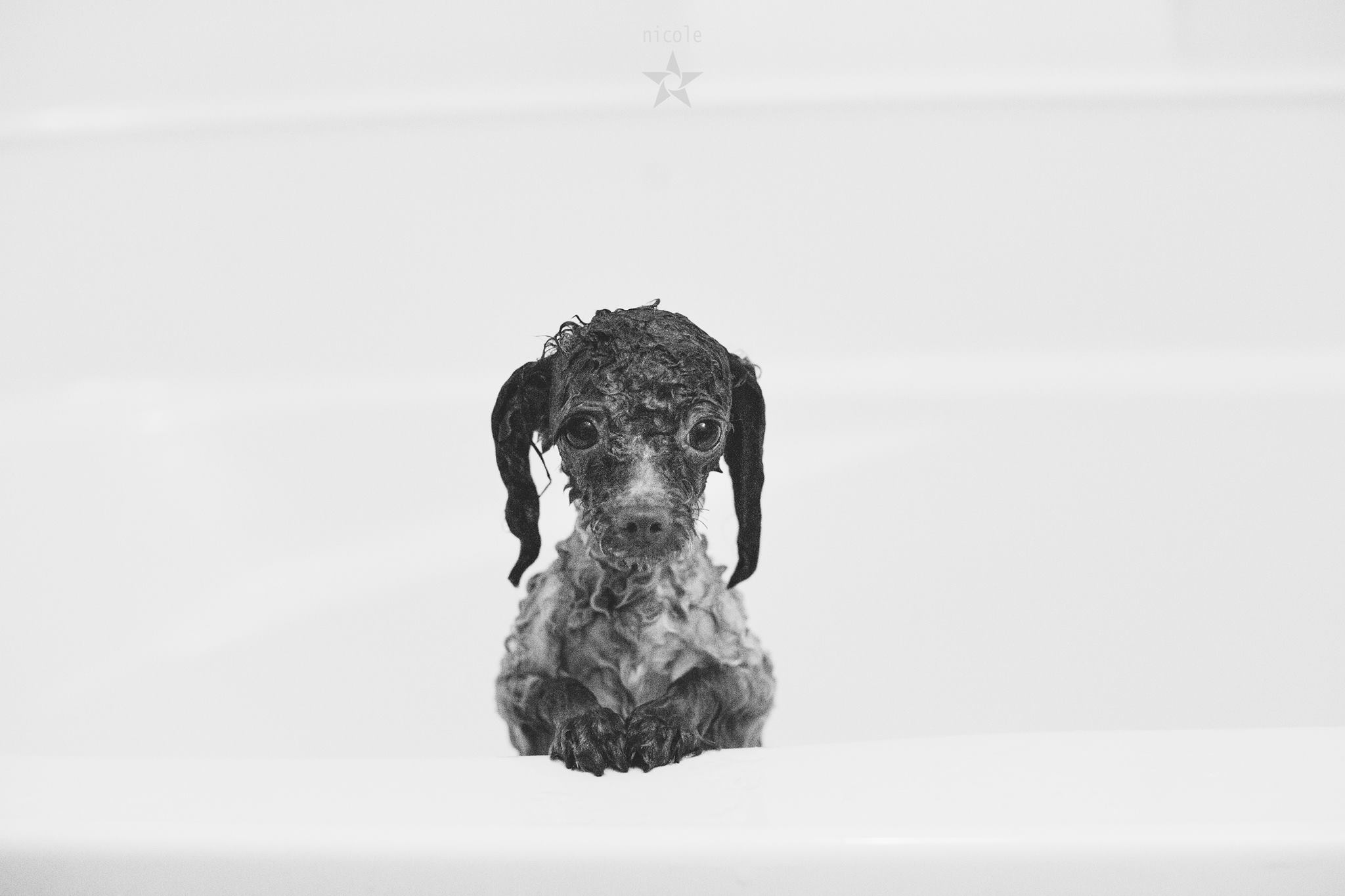 First Bath - yes, that nearly caused death for all of us .