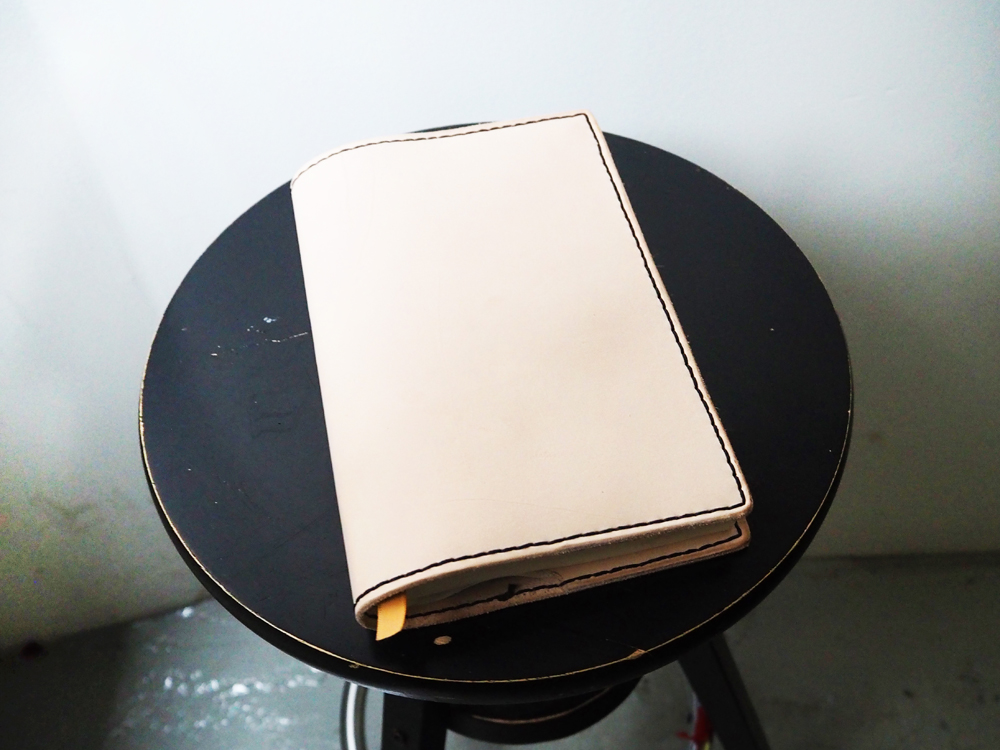 BSS-BOOK-2.jpg