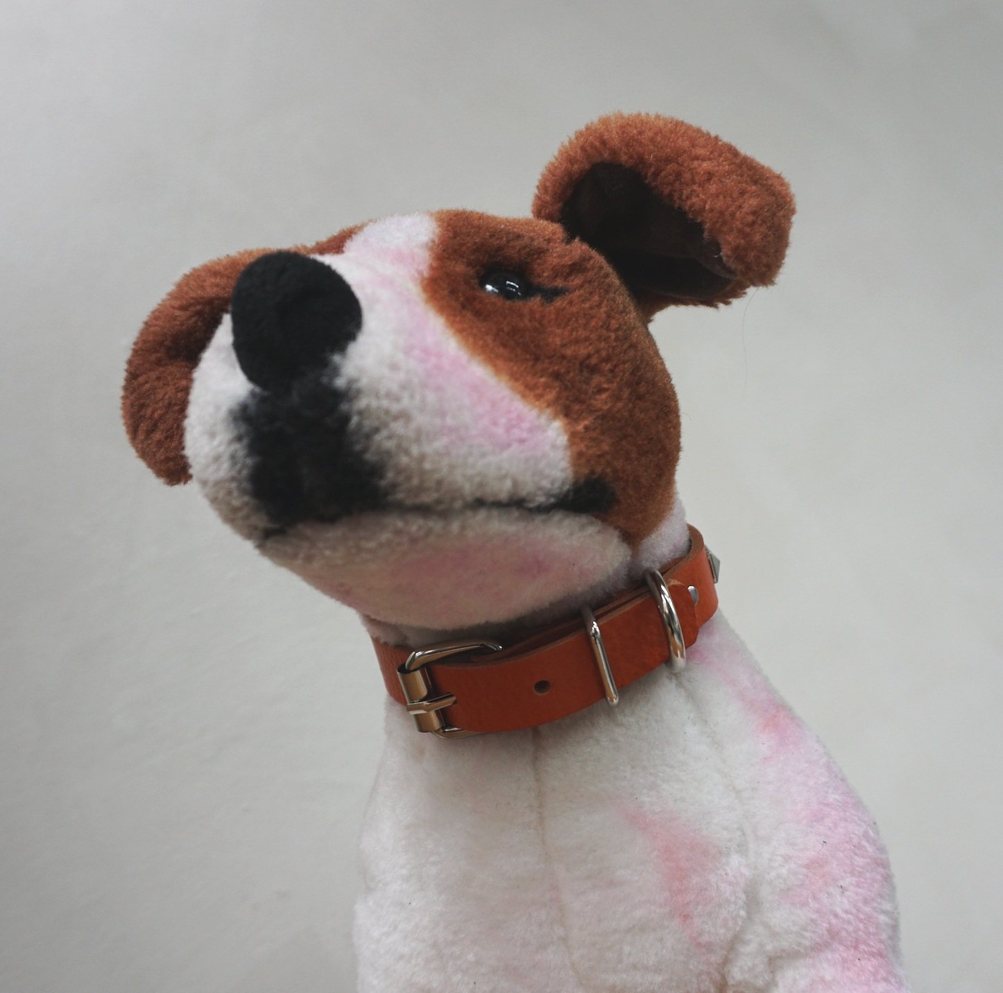 FURRY FRIENDS COLLAR/HARNESS MAKING