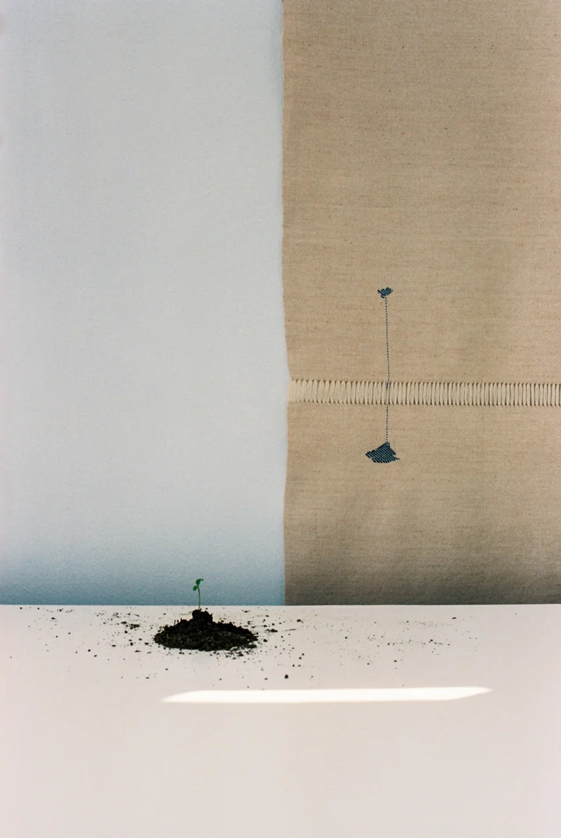 Lark Ascending II- 8x10 giclée print