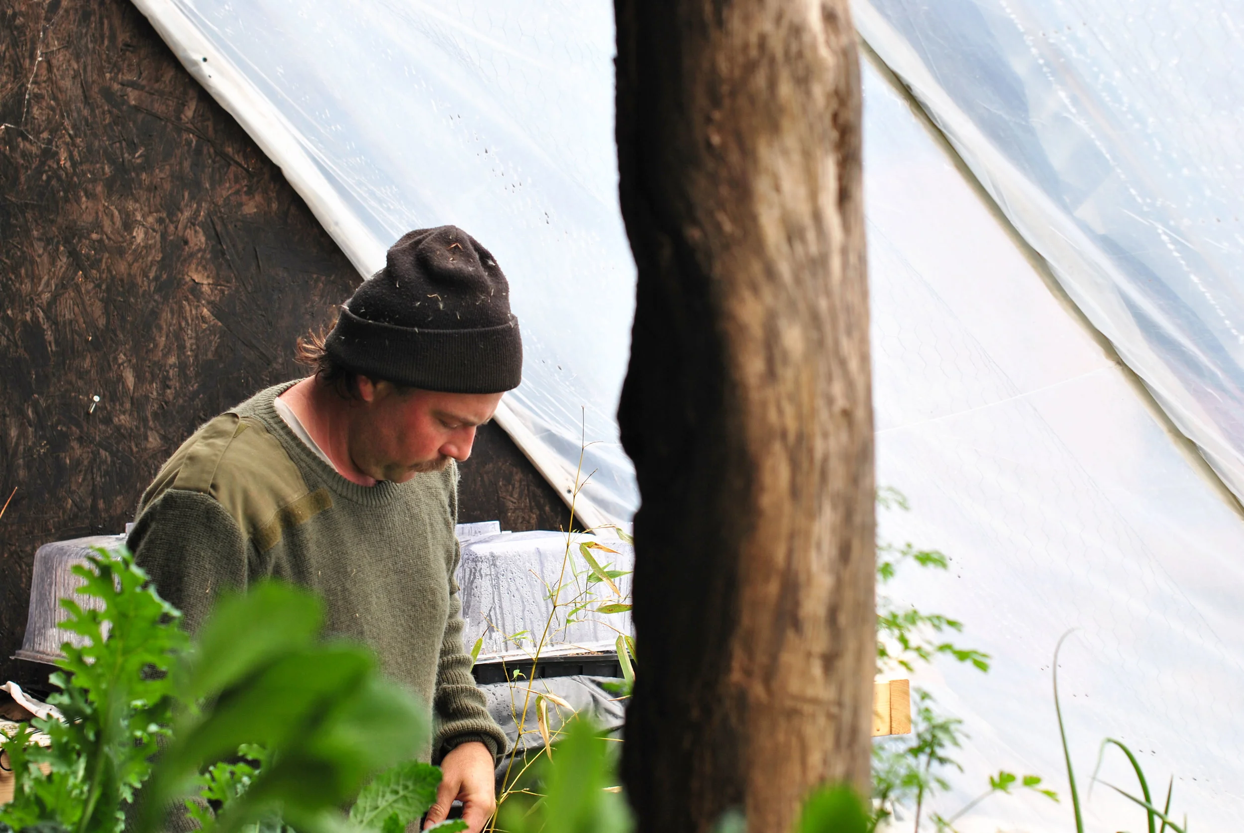 Black Thorn Farm, Part I