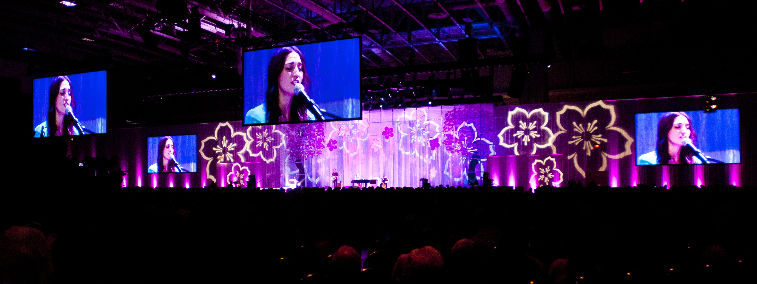 246 Nika Photos 2.jpg