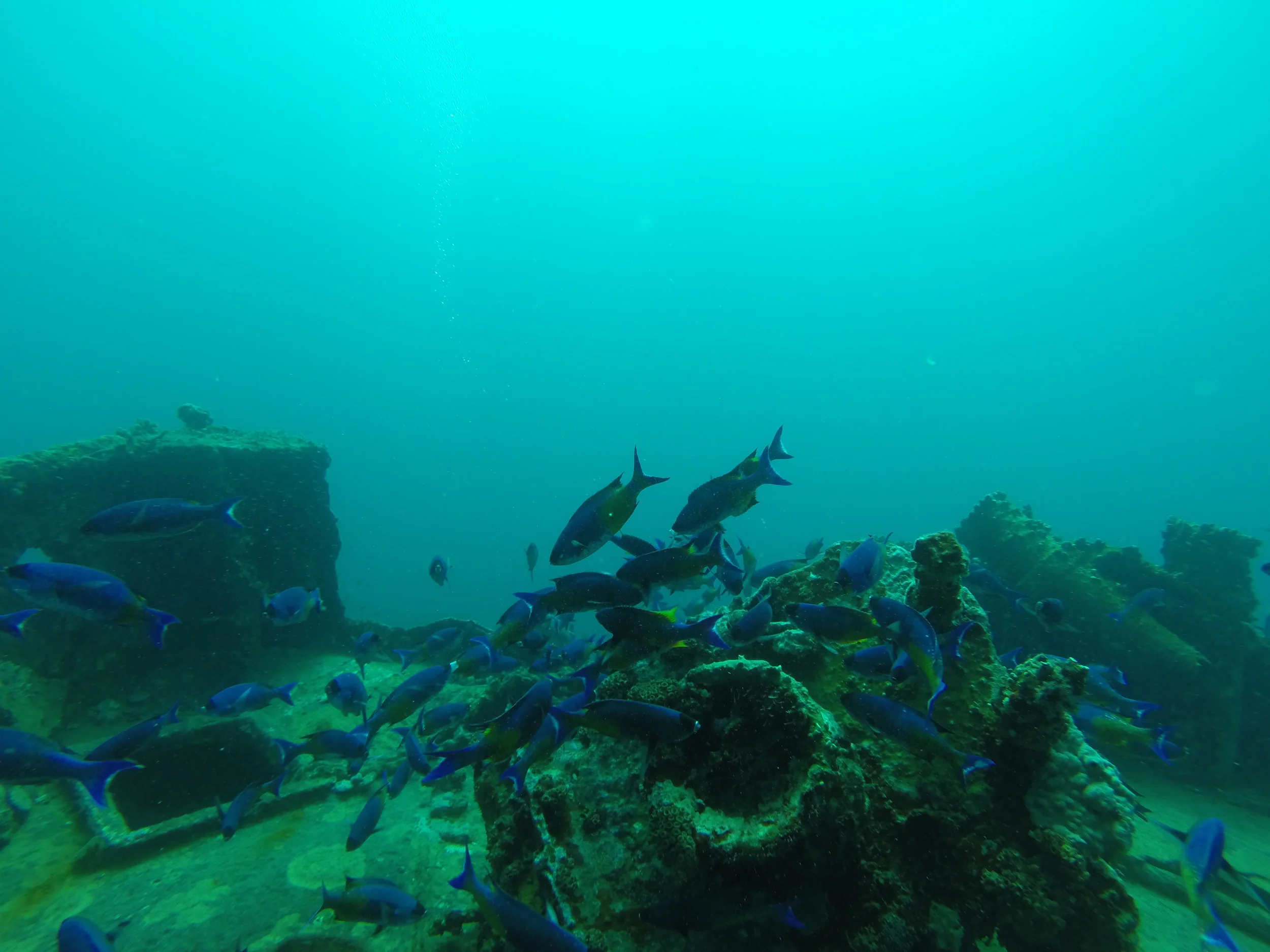 GOPR0057.JPG