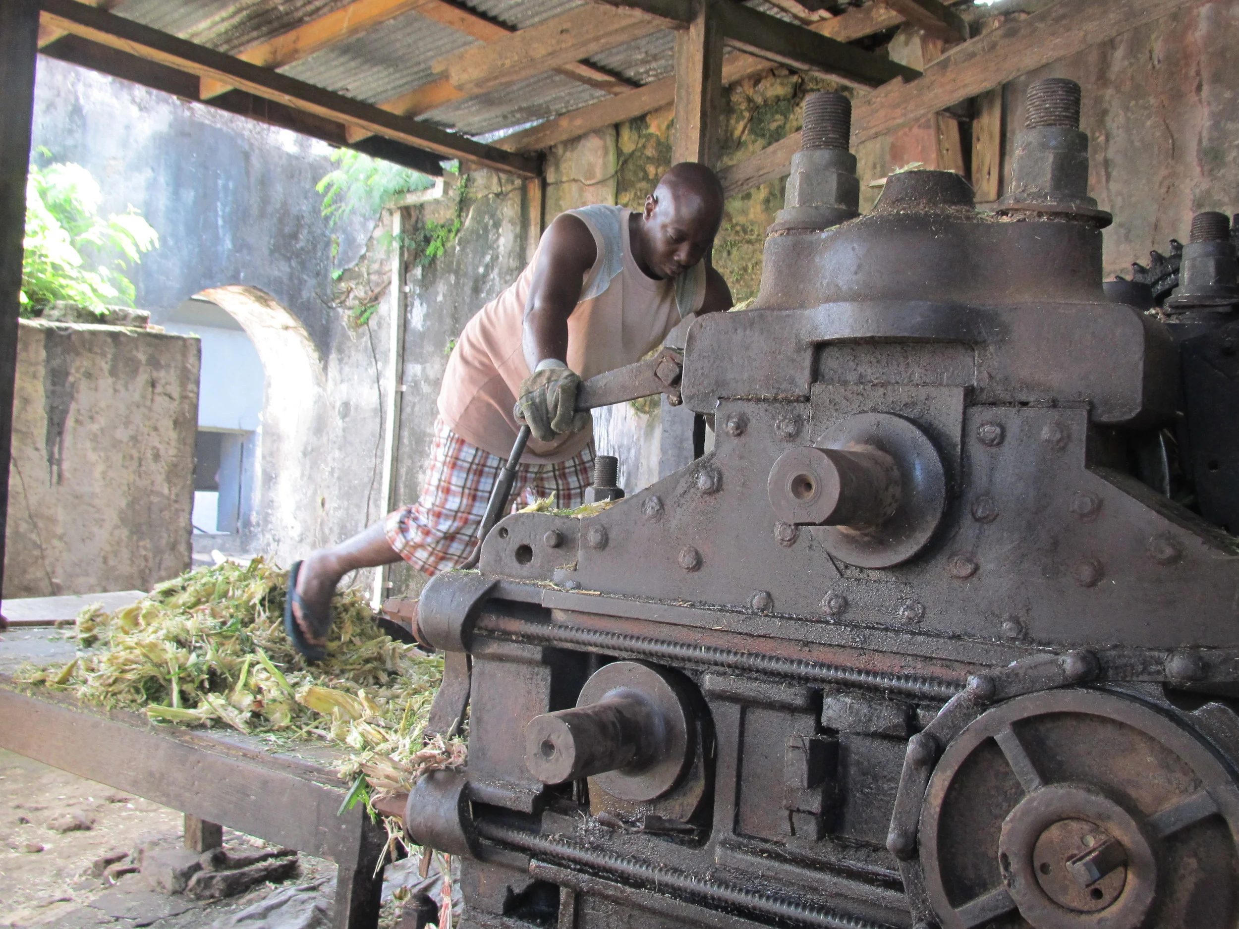 Vi besøker romdestilleri på Grenada
