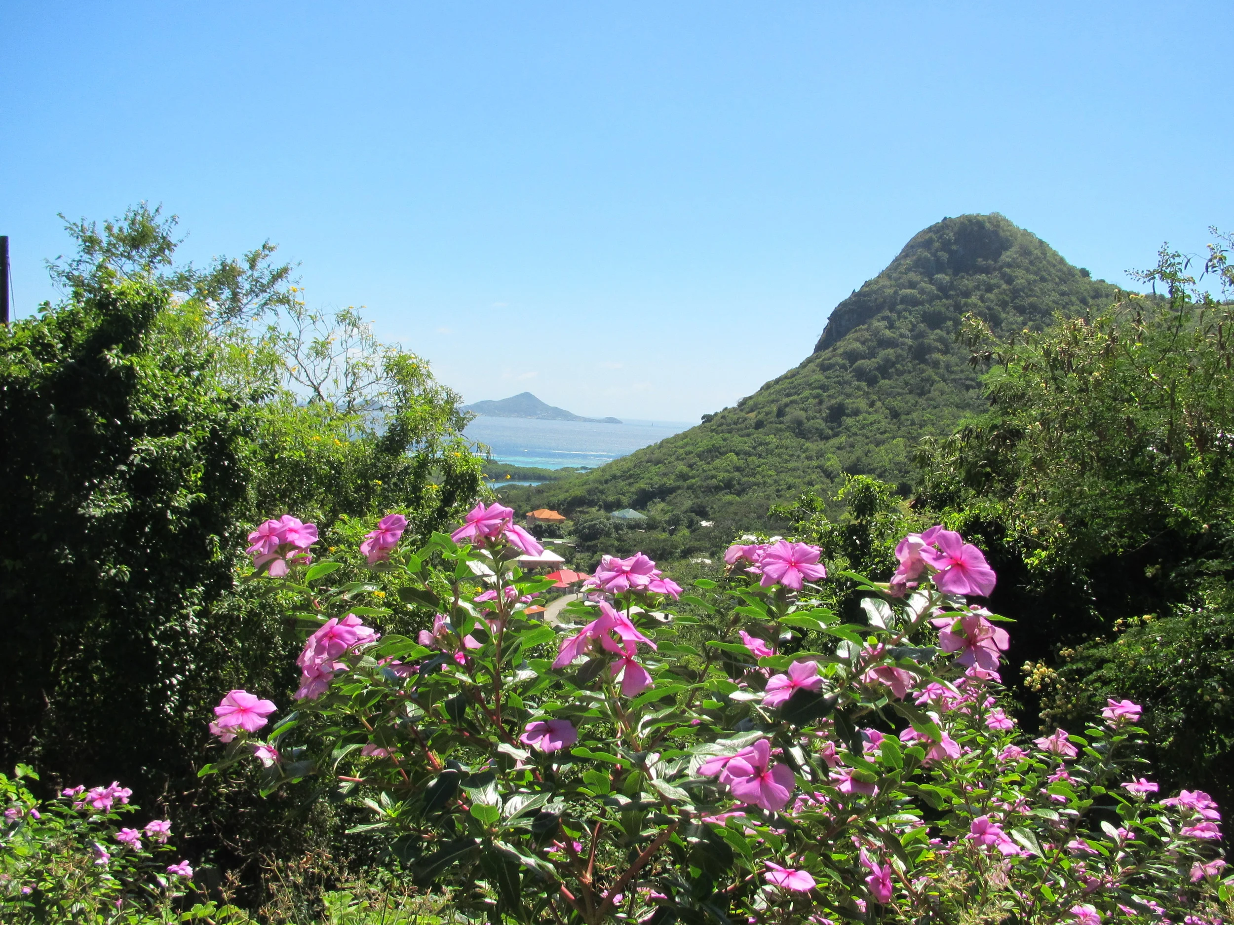 Utsikt fra Union mot nord