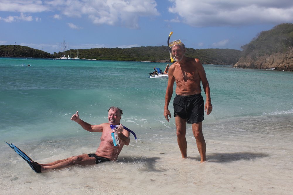 "Så du skilpadden Svein???"