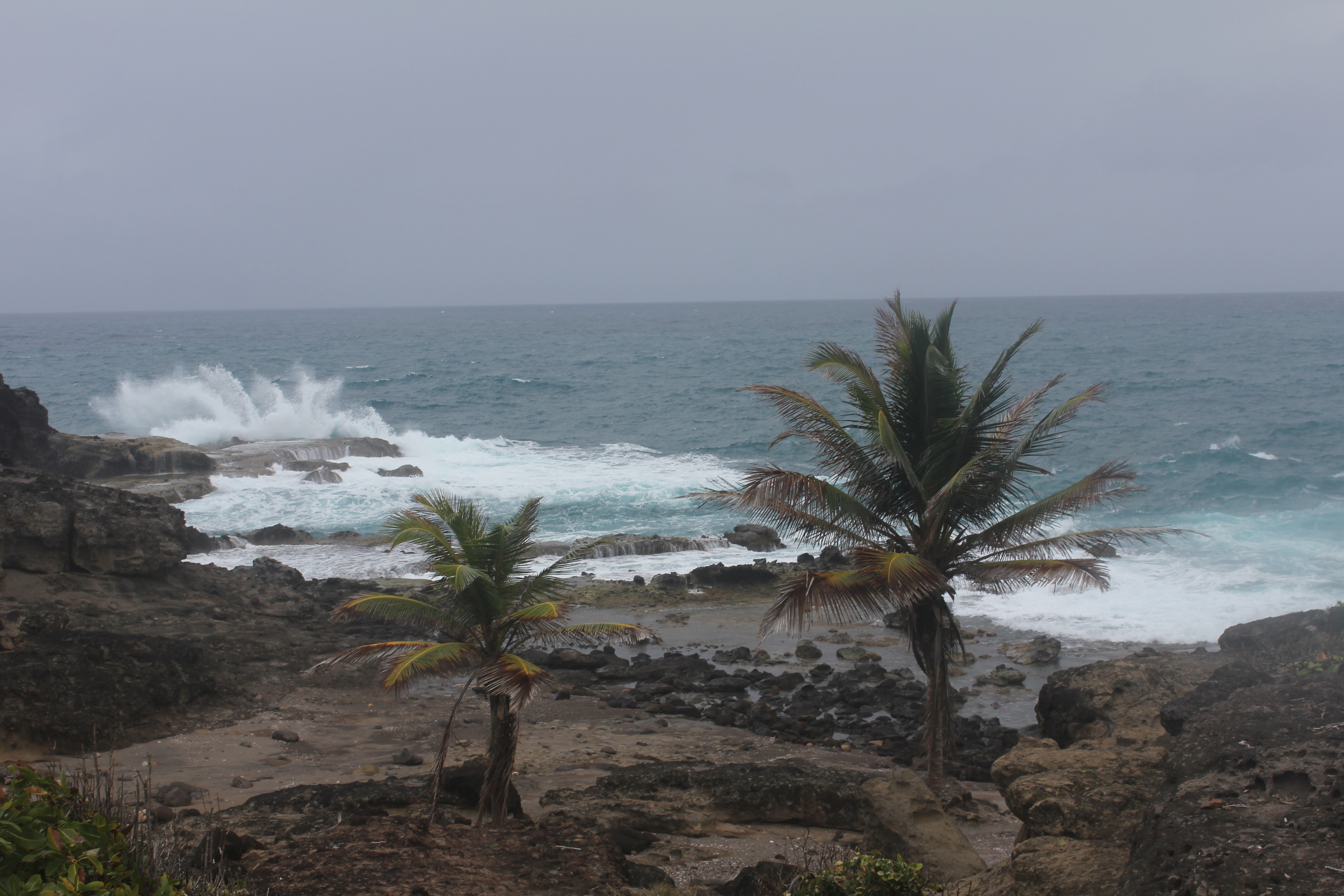 Atlanterhavet bryter mot Martiniques kyst
