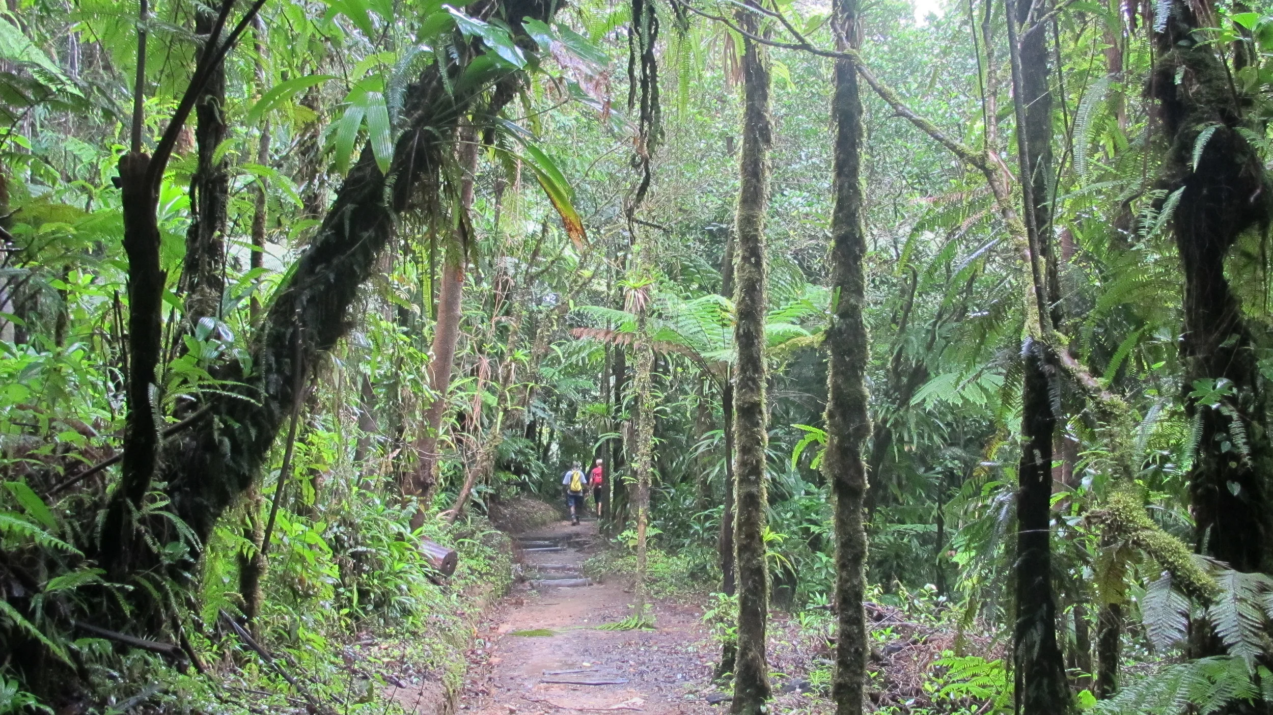 Tur til Boiling Lake