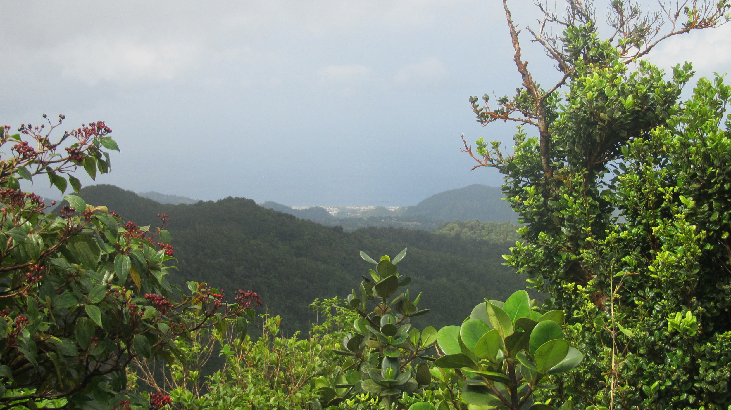 Utsikt mot hovedstaden på Dominica, Roseau