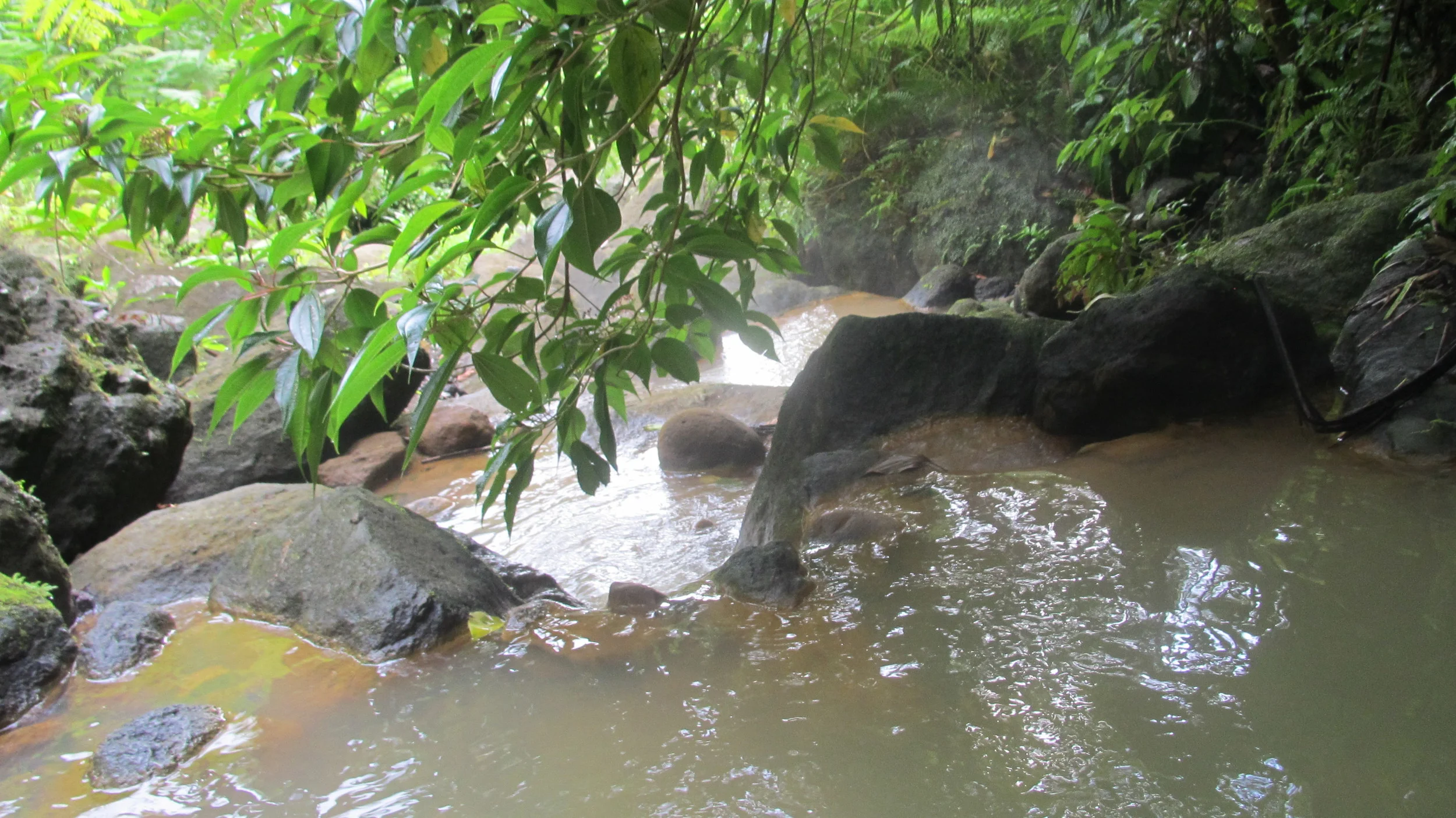 Varme kilder ved Trafalgar falls