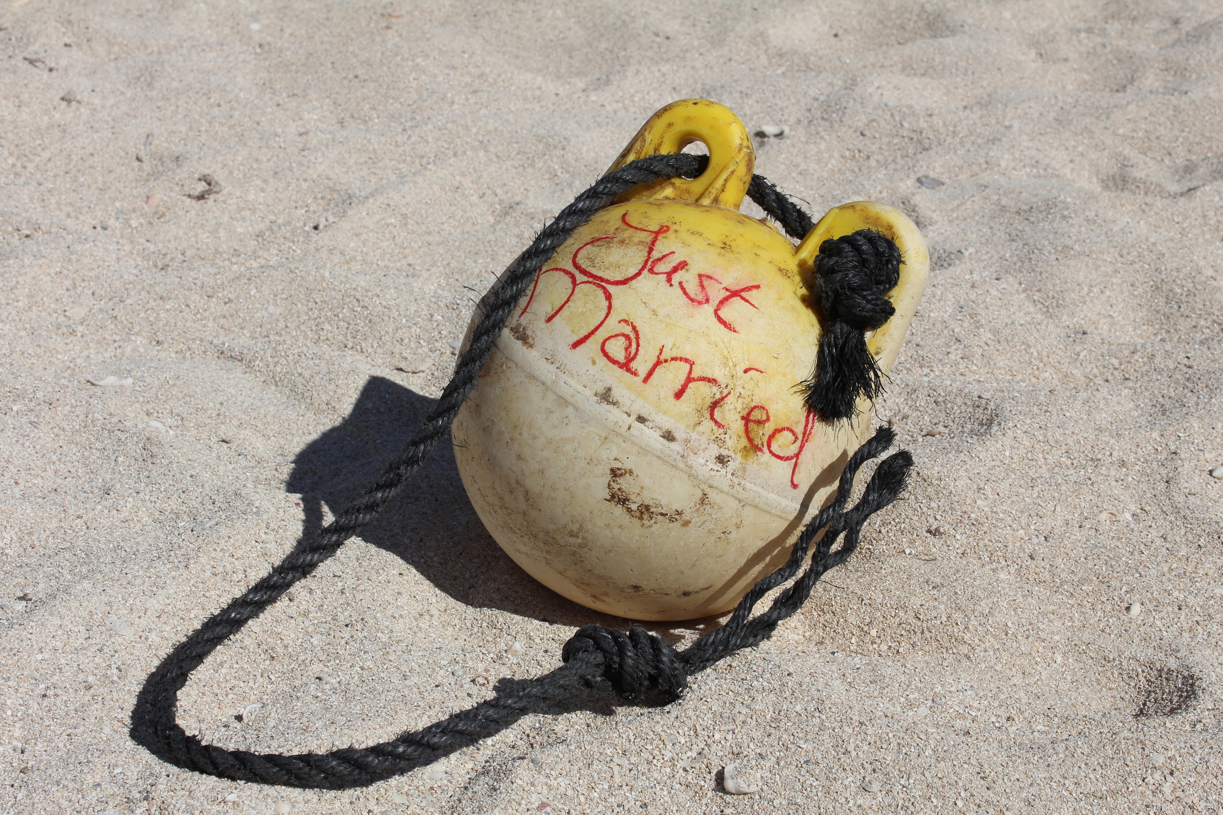 Bryllupsgave på seilervis II