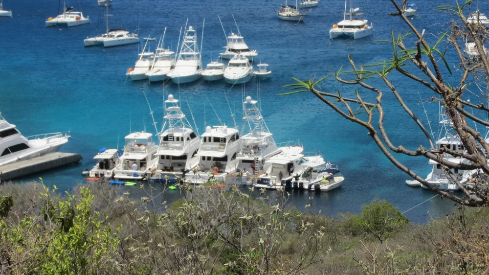 Mafia de Puerto Rico