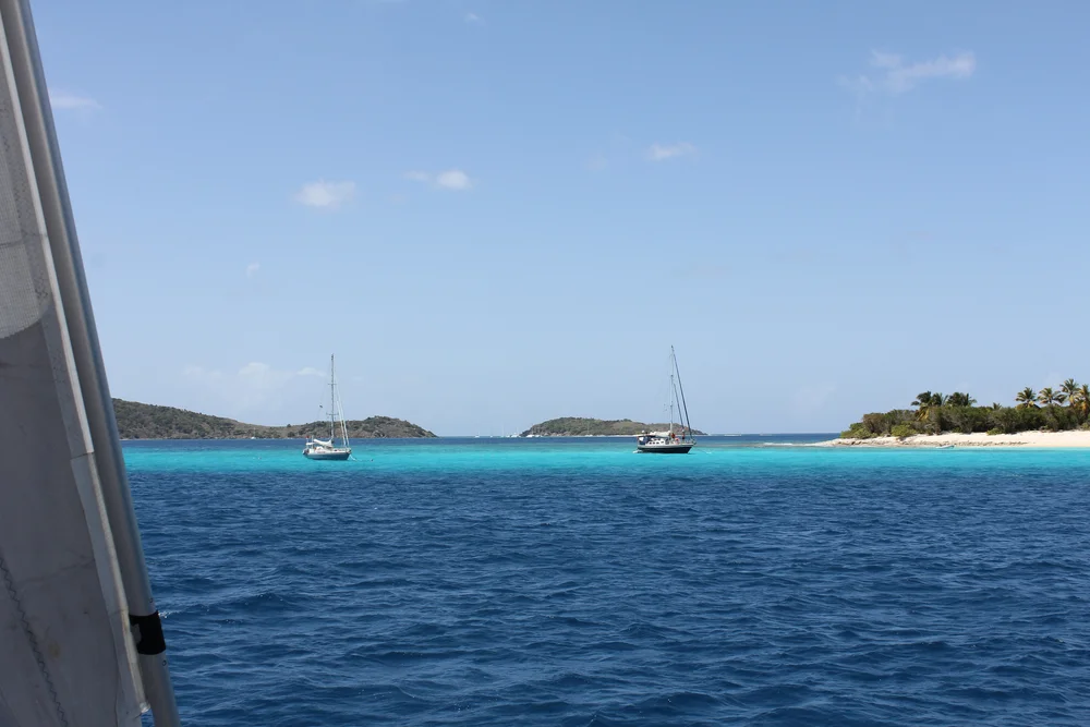 WhiteSpirit og Cassandra klare til å si farvel til Belle