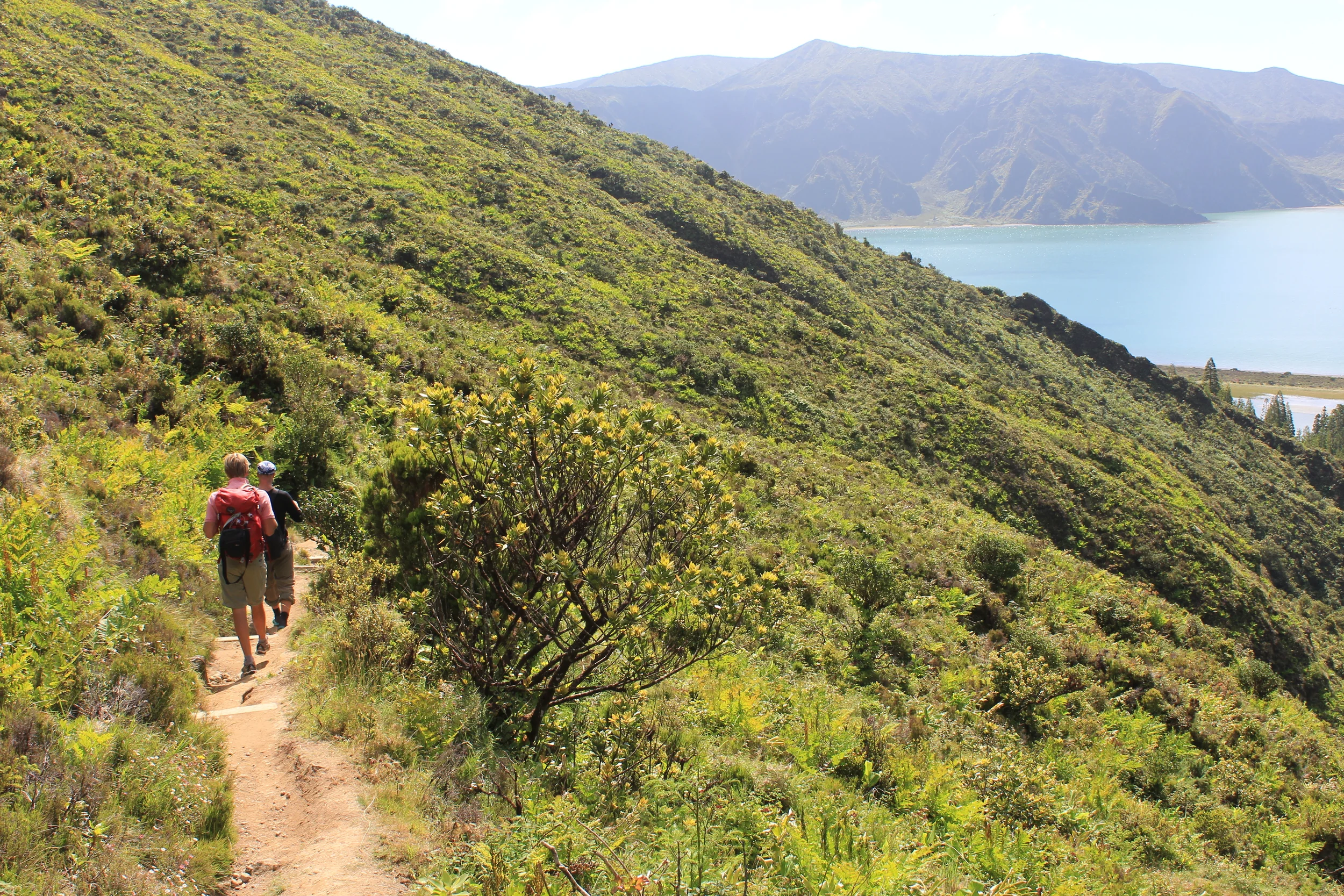 Vi prøver en annen sti med større hell