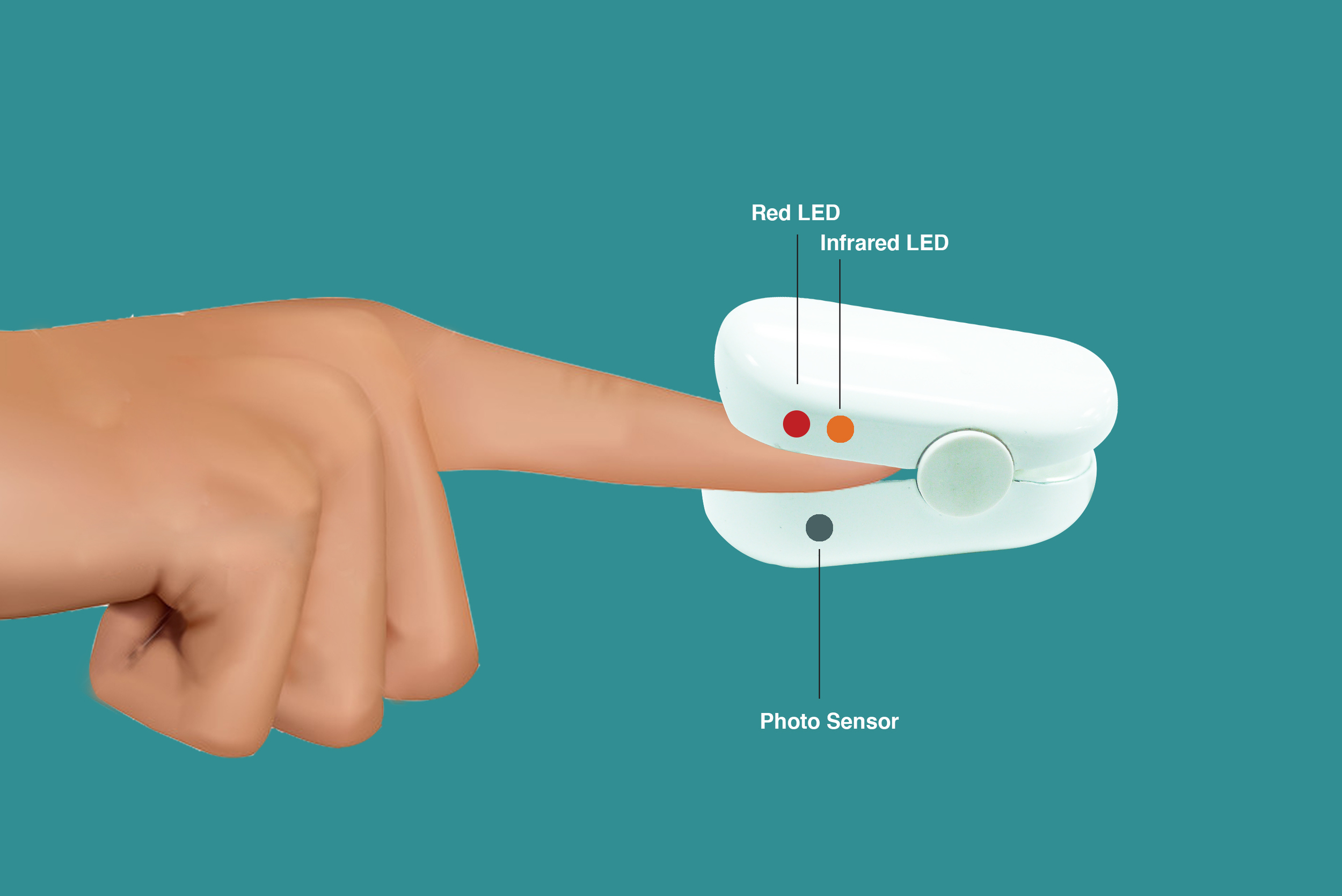 The Principle of Oximetry.