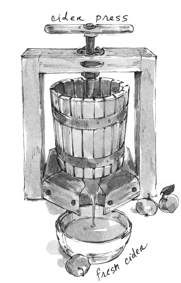 cider copy.jpg