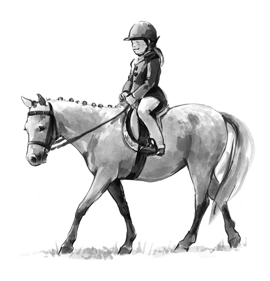 pony