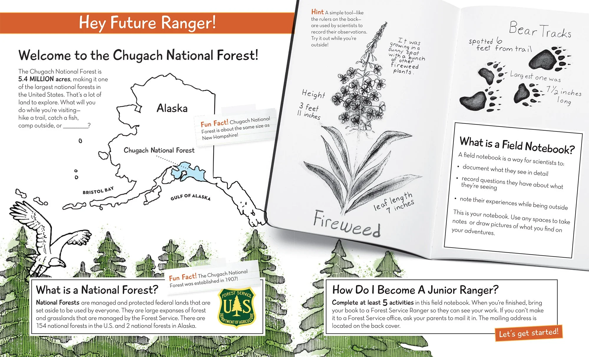 Chugach_FINAL_web-2.jpg
