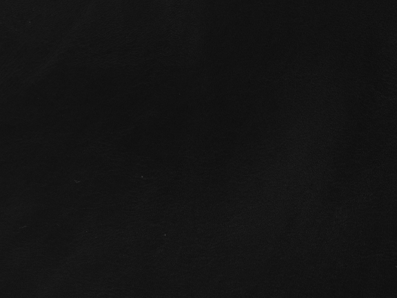 EBONY
