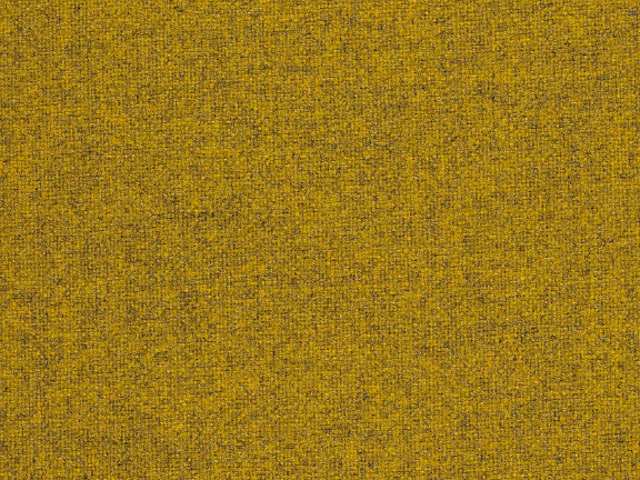 MUSTARD 411