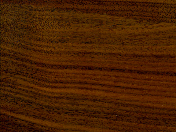 WALNUT