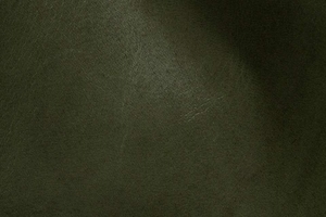 swatch-pine