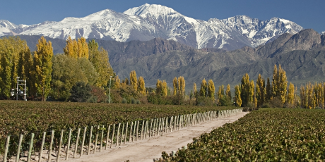 andes.jpg
