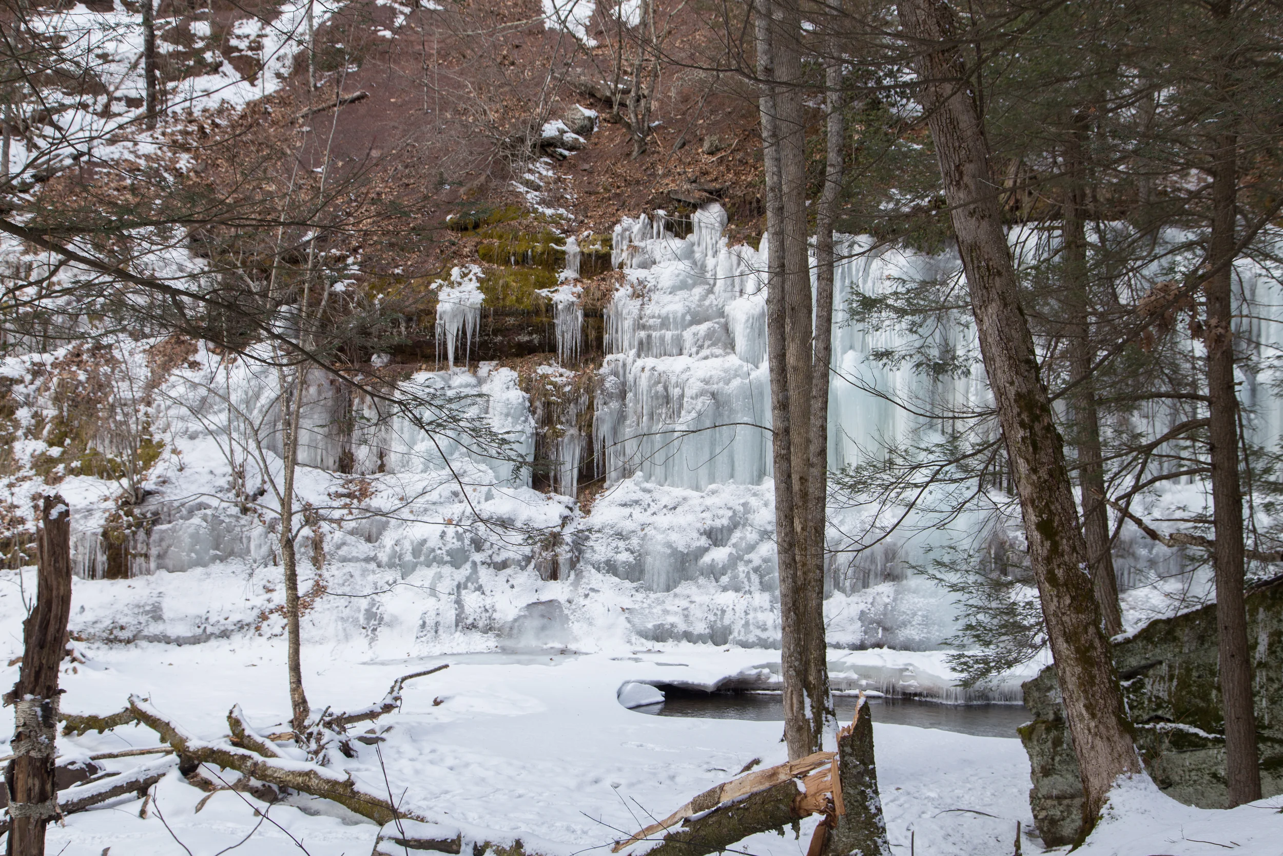 _MG_7203.jpg