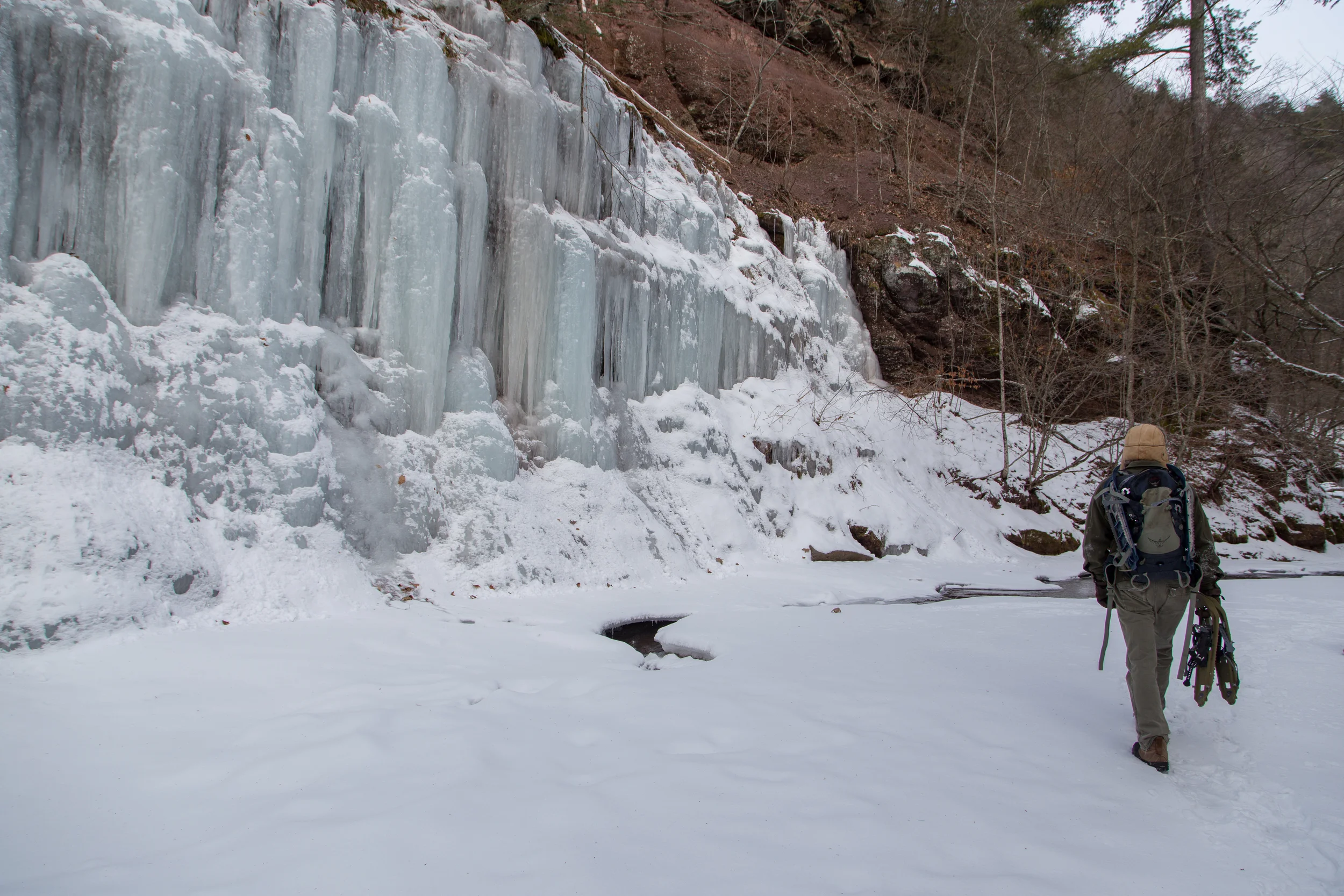_MG_7219.jpg
