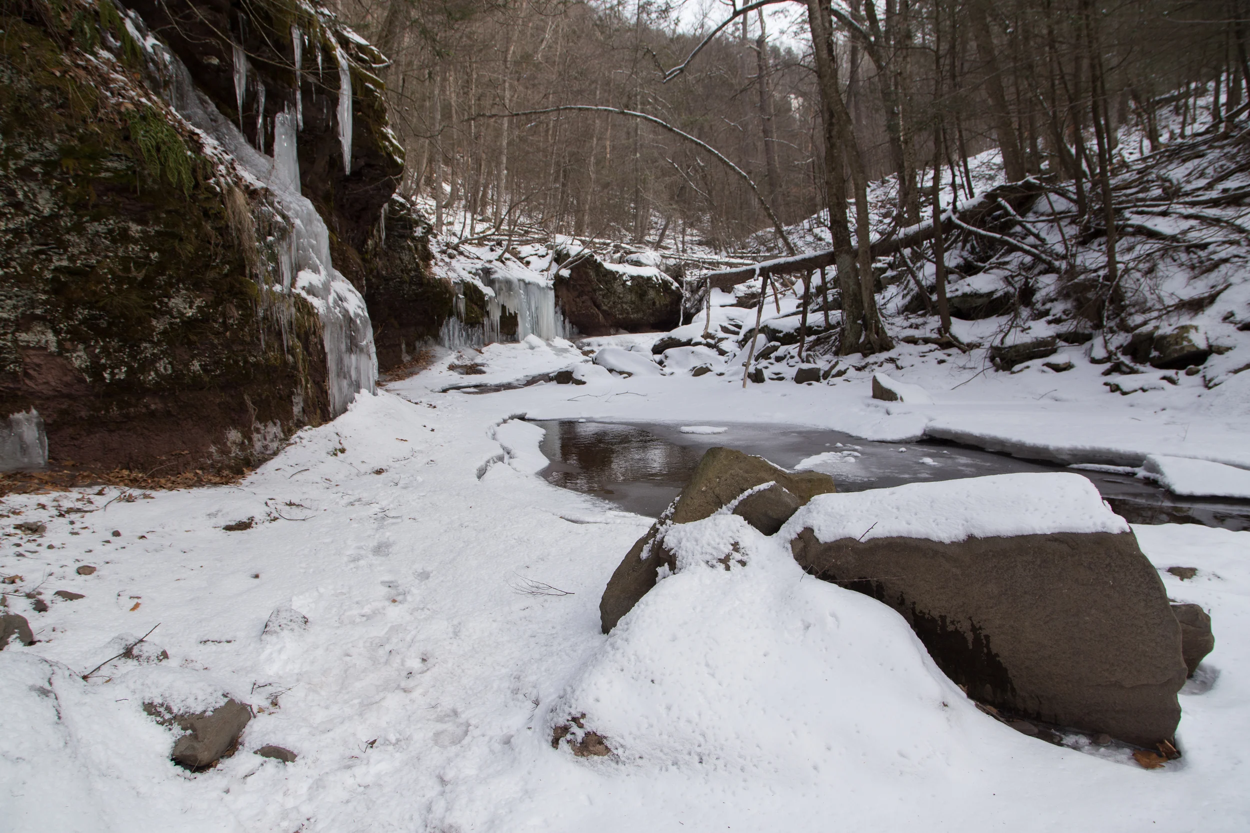 _MG_7259.jpg