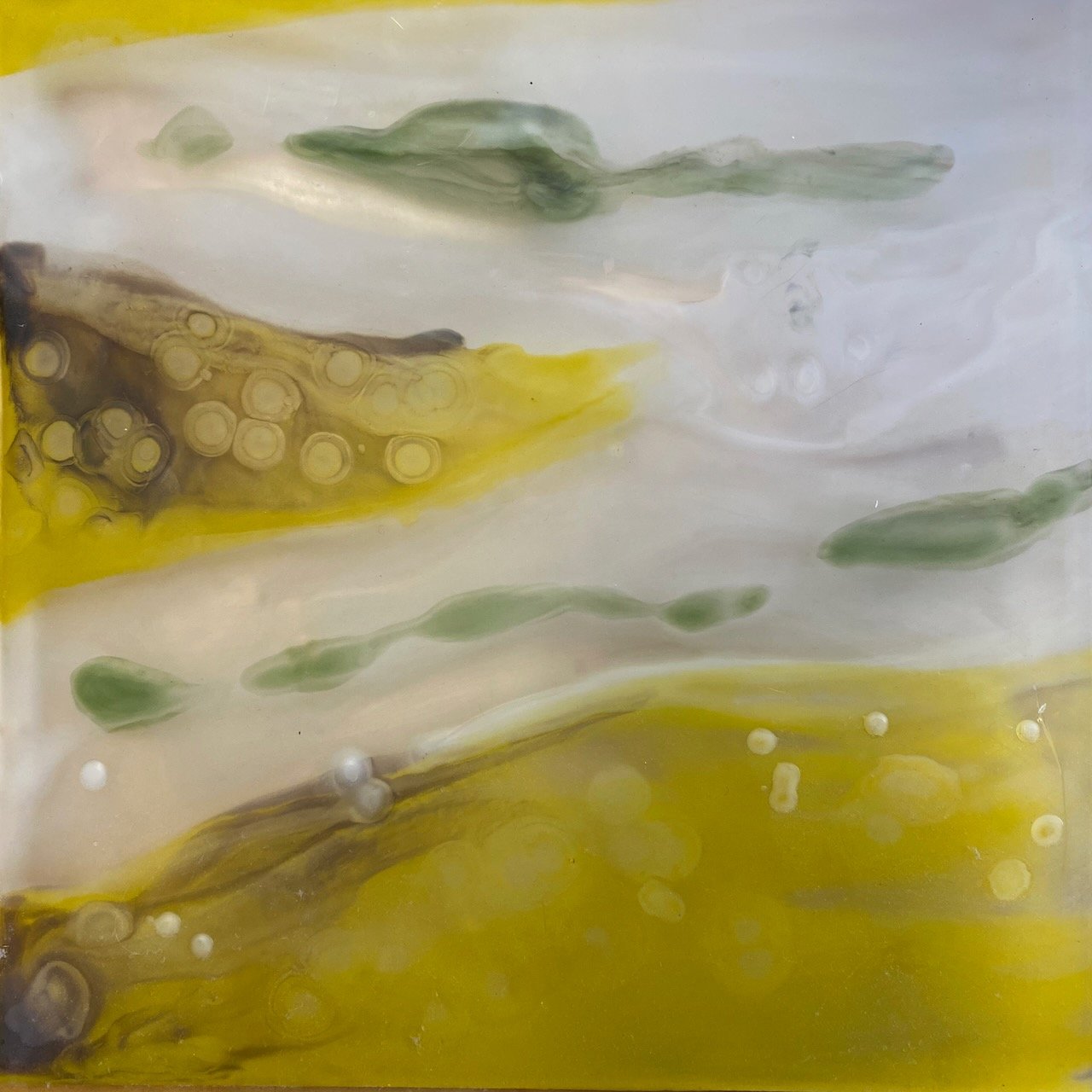 12 x 12" encaustic on plex. "Yellow"
