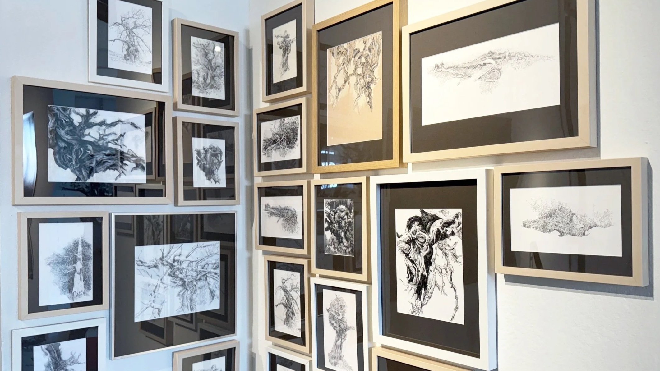 DRAWINGS →