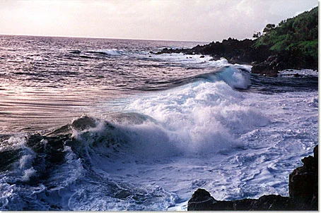 Coastline in front of cottage at sunrise.