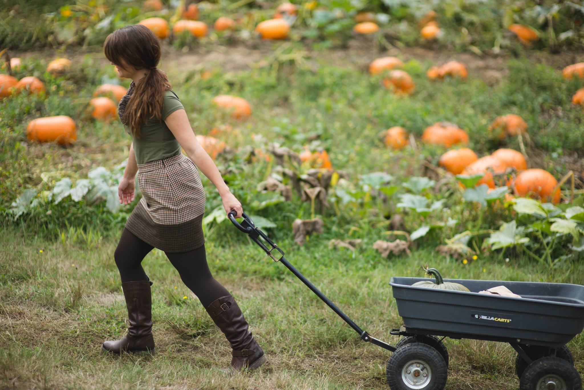 Fall Walk.jpg