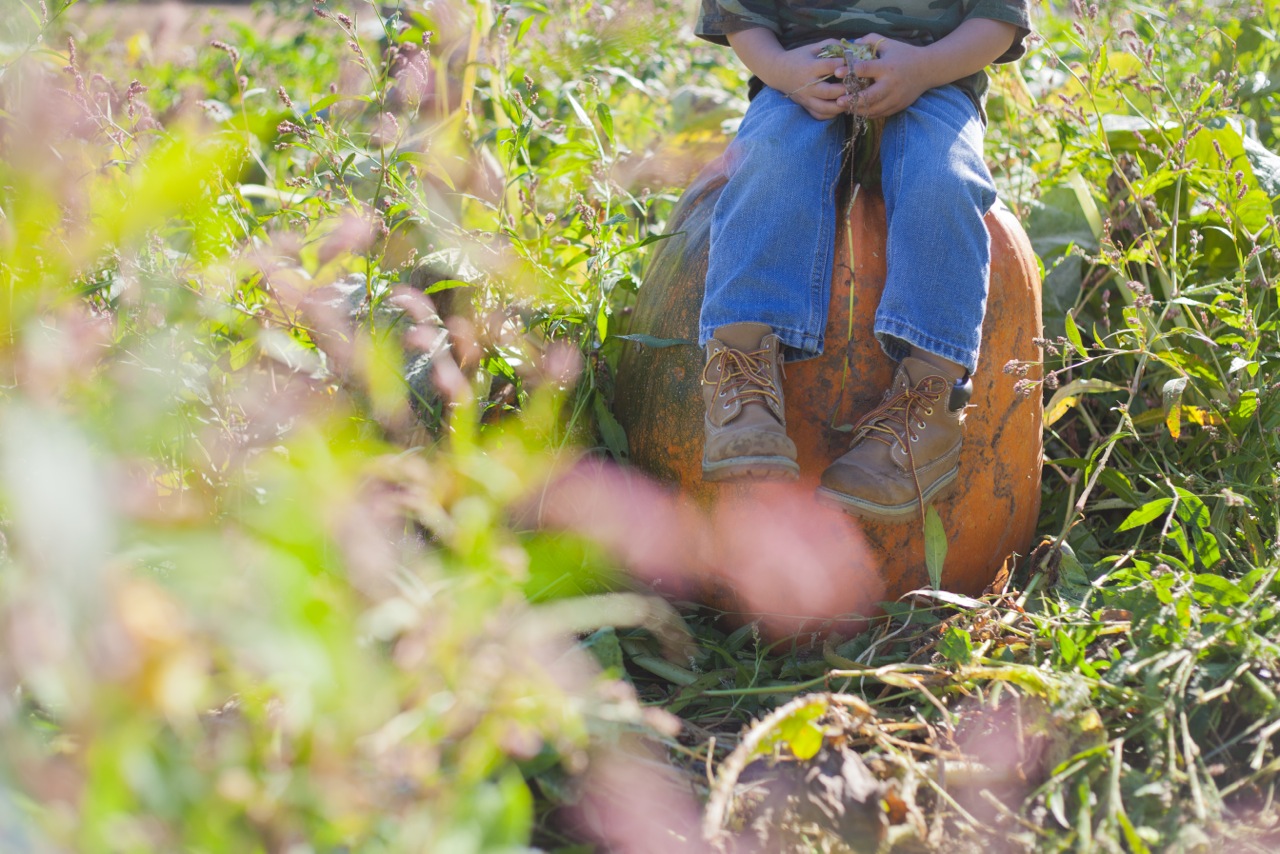 IMG_9325 feet and pumpkin.jpeg