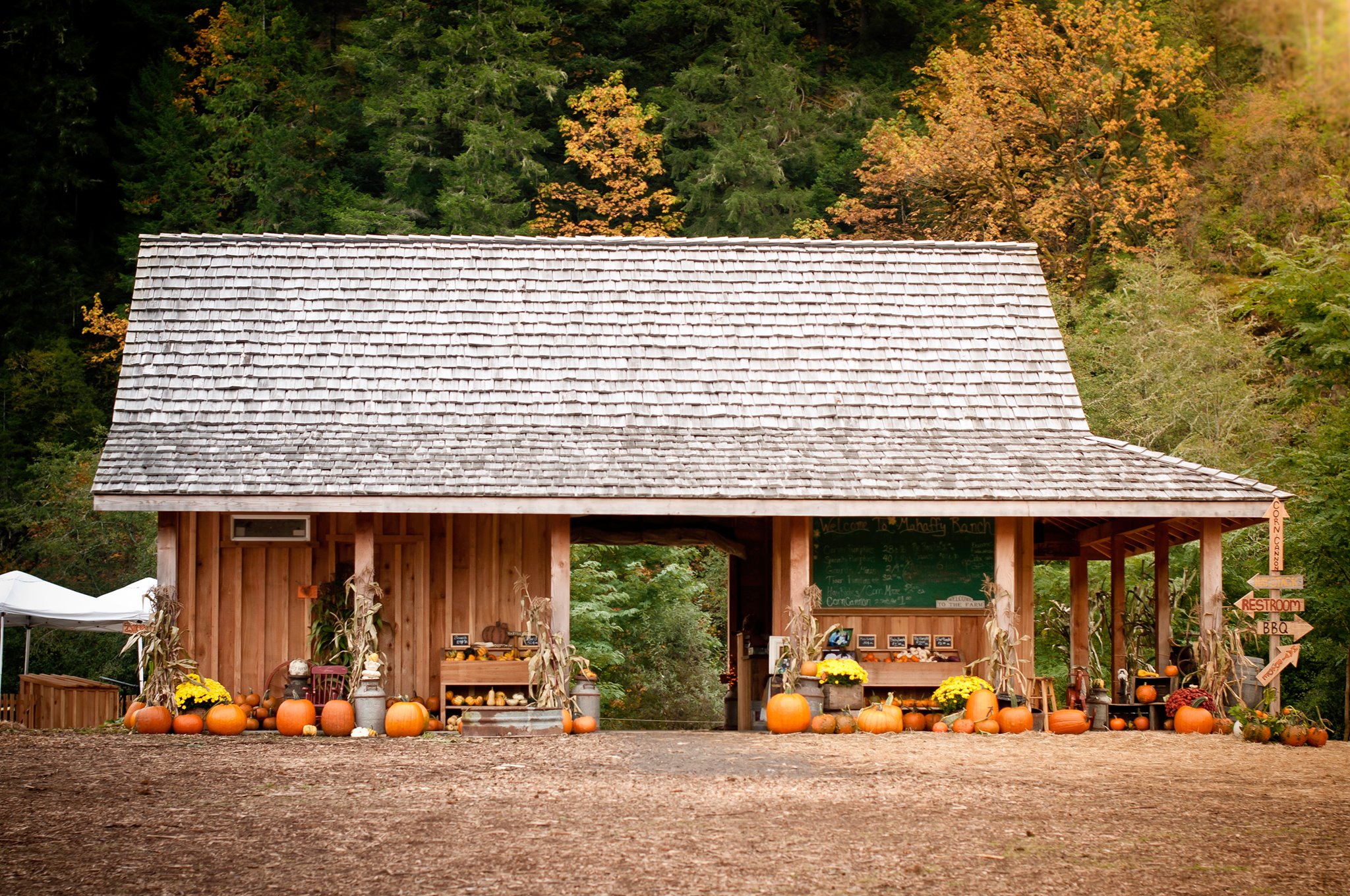 Pumpkin Patch Building.jpg