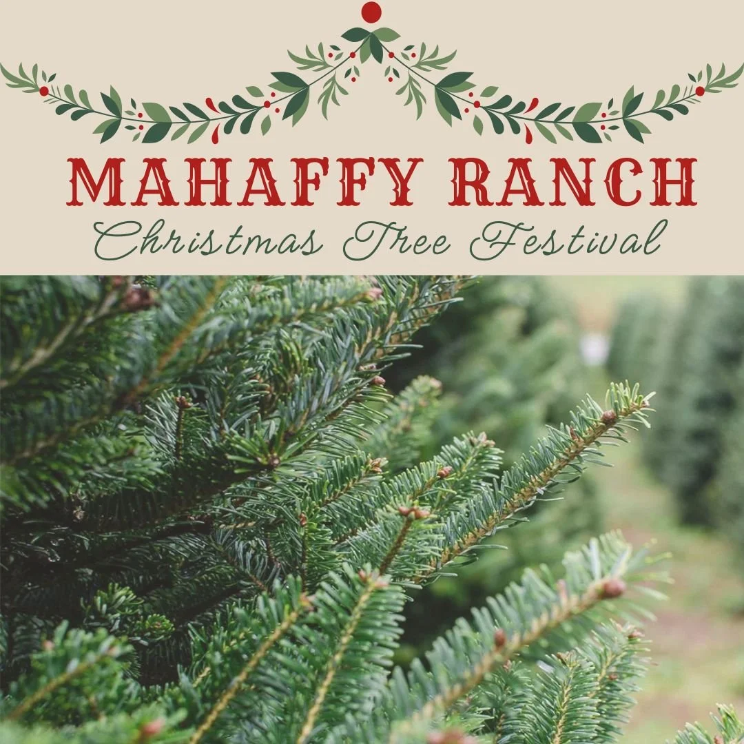 PHOTOS — Mahaffy Ranch LLC