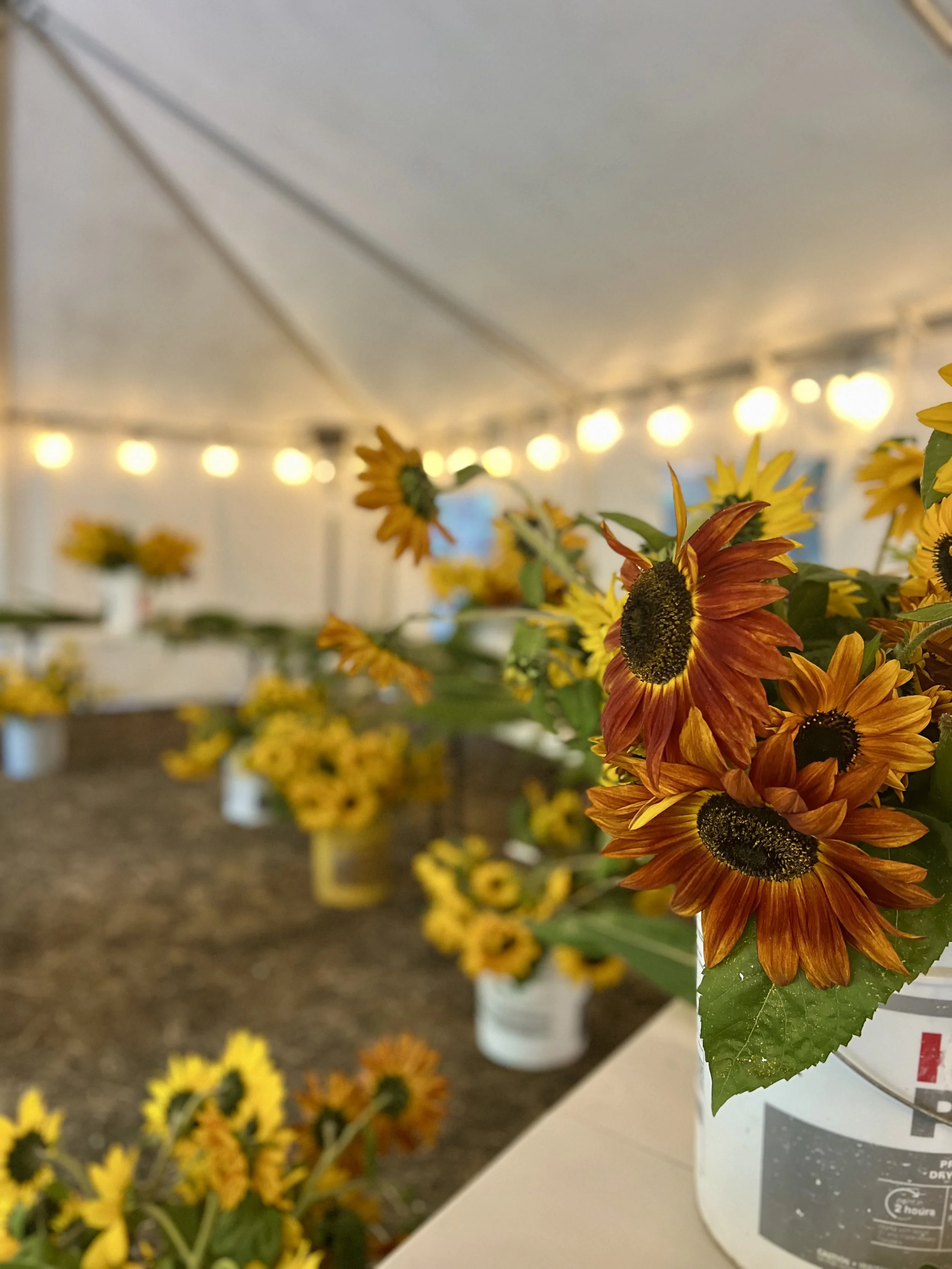 Mahaffy Ranch Sunflower Home & Harvest Market — Mahaffy Ranch LLC
