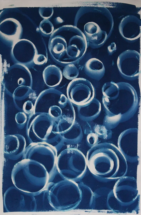 Onion Rings, Cyanotype on Paper, 15 x 22