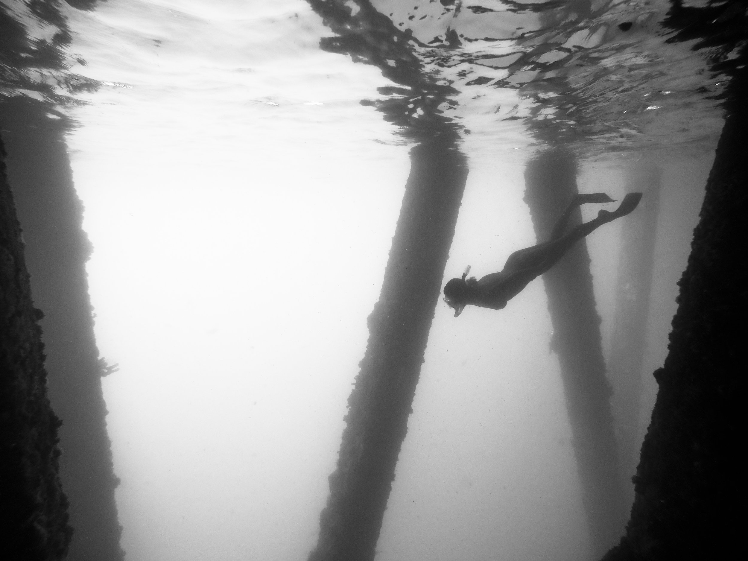 Puerto Rico Snorkle - Devin Feil